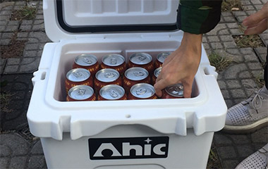 AHIC 15 yʽ